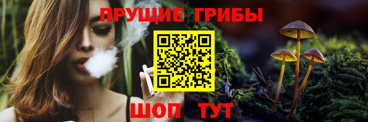 Галлюциногенные грибы Psilocybine cubensis  Вход с VPN  Добрянка  Псилоцибиновые грибы ЛСД 